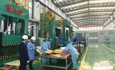 自然資源部領(lǐng)導(dǎo)赴淮調(diào)研 深化節(jié)約集約利用，評(píng)估成效促發(fā)展